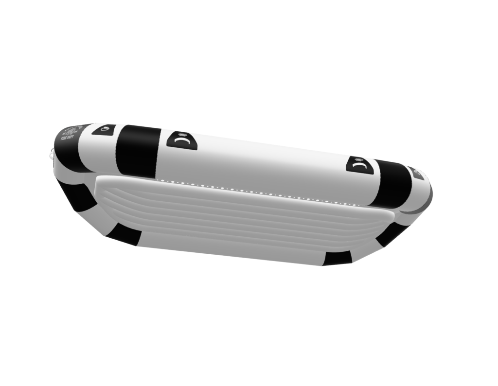The Zebra